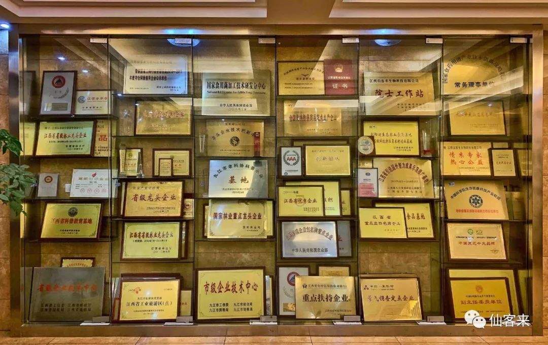 杭州亞運(yùn)會官方靈芝產(chǎn)品供應(yīng)商|杭州亞運(yùn)會官方供應(yīng)商|中國靈芝十大品牌|仙客來靈芝|仙客來靈芝破壁孢子粉|仙客來孢子油|仙客來靈芝飲片|仙客來破壁孢子粉|靈芝孢子油|孢子粉|靈芝破壁孢子粉|靈芝|中華老字號 杭州亞運(yùn)會官方靈芝產(chǎn)品供應(yīng)商|杭州亞運(yùn)會官方供應(yīng)商|中國靈芝十大品牌|仙客來靈芝|仙客來靈芝破壁孢子粉|仙客來孢子油|仙客來靈芝飲片|仙客來破壁孢子粉|靈芝孢子油|孢子粉|靈芝破壁孢子粉|靈芝|中華老字號