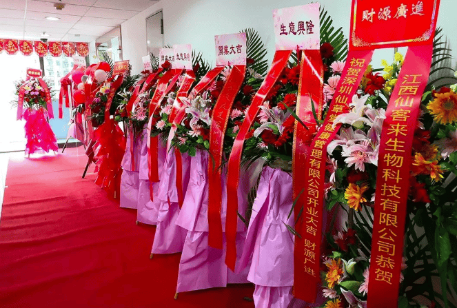 中國靈芝十大品牌|仙客來靈芝|仙客來靈芝破壁孢子粉|仙客來孢子油|仙客來靈芝飲片|仙客來破壁孢子粉|仙客來靈芝中藥飲片|馳名商標|carbatteryresident.com| 中國靈芝十大品牌|仙客來靈芝|仙客來靈芝破壁孢子粉|仙客來孢子油|仙客來靈芝飲片|仙客來破壁孢子粉|仙客來靈芝中藥飲片|馳名商標|carbatteryresident.com|