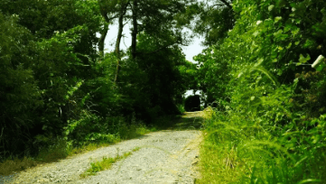 中國(guó)靈芝十大品牌|仙客來靈芝|仙客來靈芝破壁孢子粉|仙客來孢子油|仙客來靈芝飲片|仙客來破壁孢子粉|仙客來靈芝中藥飲片|馳名商標(biāo)|carbatteryresident.com| 中國(guó)靈芝十大品牌|仙客來靈芝|仙客來靈芝破壁孢子粉|仙客來孢子油|仙客來靈芝飲片|仙客來破壁孢子粉|仙客來靈芝中藥飲片|馳名商標(biāo)|carbatteryresident.com|