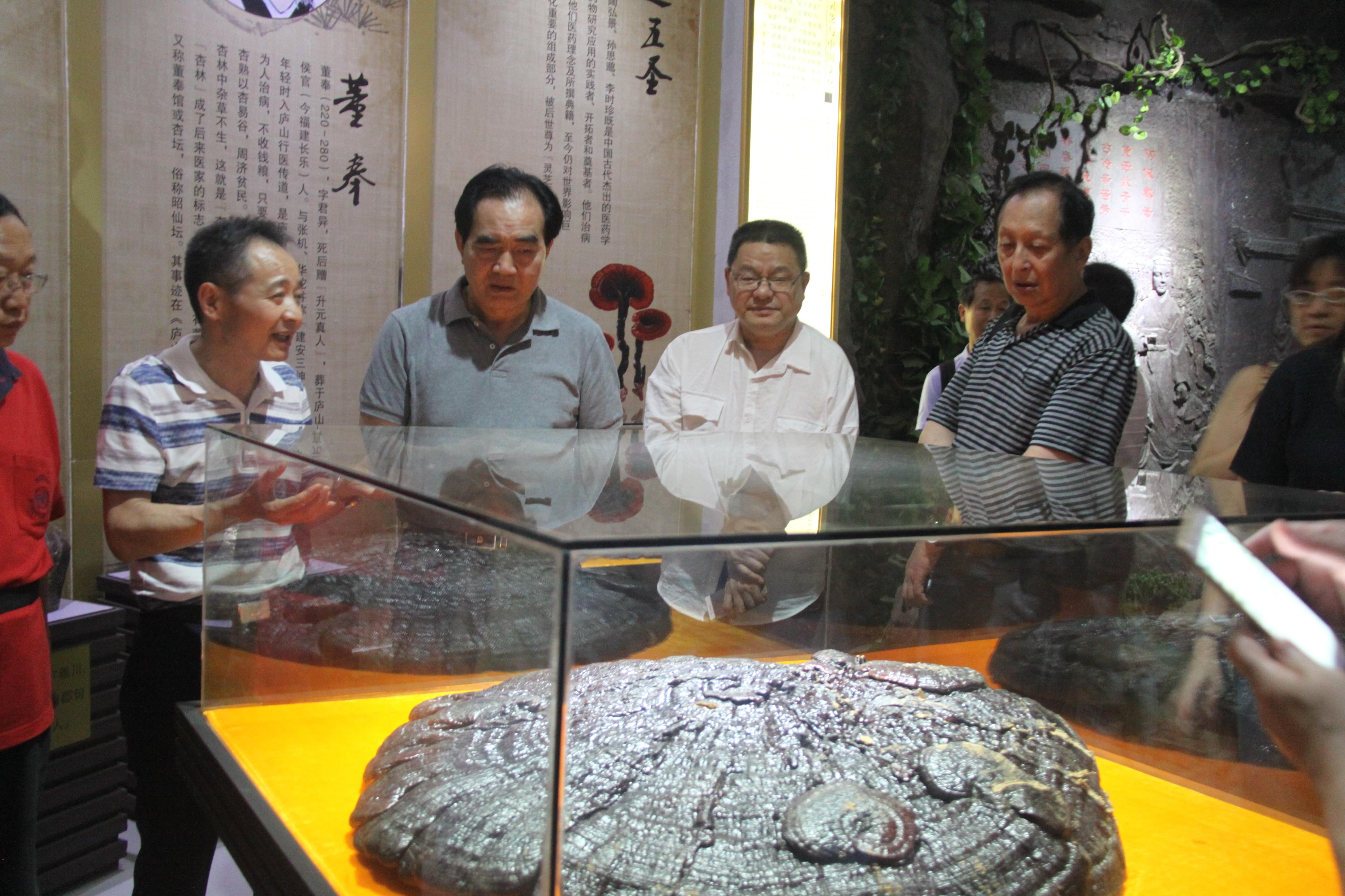 中國(guó)靈芝十大品牌|仙客來靈芝|仙客來靈芝破壁孢子粉|仙客來孢子油|仙客來靈芝飲片|仙客來破壁孢子粉|仙客來靈芝中藥飲片|馳名商標(biāo)|carbatteryresident.com| 中國(guó)靈芝十大品牌|仙客來靈芝|仙客來靈芝破壁孢子粉|仙客來孢子油|仙客來靈芝飲片|仙客來破壁孢子粉|仙客來靈芝中藥飲片|馳名商標(biāo)|carbatteryresident.com|