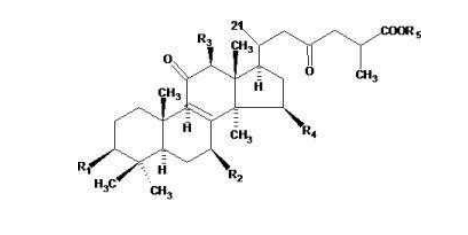 中國靈芝十大品牌|仙客來靈芝|仙客來靈芝破壁孢子粉|仙客來孢子油|仙客來靈芝飲片|仙客來破壁孢子粉|仙客來靈芝中藥飲片|馳名商標(biāo)|carbatteryresident.com|
