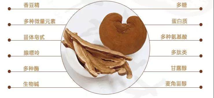 中國(guó)靈芝十大品牌|仙客來靈芝|仙客來靈芝破壁孢子粉|仙客來孢子油|仙客來靈芝飲片|仙客來破壁孢子粉|仙客來靈芝中藥飲片|馳名商標(biāo)|carbatteryresident.com|