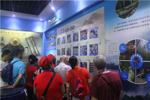 1568098055348243.jpg 杭州亞運(yùn)會(huì)官方靈芝產(chǎn)品供應(yīng)商|杭州亞運(yùn)會(huì)官方供應(yīng)商|中國靈芝十大品牌|仙客來靈芝|仙客來靈芝破壁孢子粉|仙客來孢子油|仙客來靈芝飲片|仙客來破壁孢子粉|靈芝孢子油|孢子粉|靈芝破壁孢子粉|靈芝|中華老字號(hào)