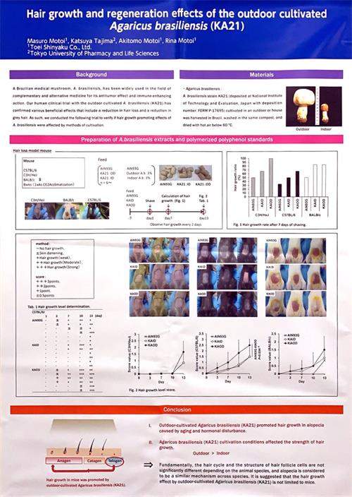 中國(guó)靈芝十大品牌|仙客來(lái)靈芝|仙客來(lái)靈芝破壁孢子粉|仙客來(lái)孢子油|仙客來(lái)靈芝飲片|仙客來(lái)破壁孢子粉|仙客來(lái)靈芝中藥飲片|馳名商標(biāo)|carbatteryresident.com| 中國(guó)靈芝十大品牌|仙客來(lái)靈芝|仙客來(lái)靈芝破壁孢子粉|仙客來(lái)孢子油|仙客來(lái)靈芝飲片|仙客來(lái)破壁孢子粉|仙客來(lái)靈芝中藥飲片|馳名商標(biāo)|carbatteryresident.com|