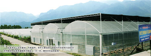 中國靈芝十大品牌|仙客來靈芝|仙客來靈芝破壁孢子粉|仙客來孢子油|仙客來靈芝飲片|仙客來破壁孢子粉|仙客來靈芝中藥飲片|馳名商標(biāo)|carbatteryresident.com| 中國靈芝十大品牌|仙客來靈芝|仙客來靈芝破壁孢子粉|仙客來孢子油|仙客來靈芝飲片|仙客來破壁孢子粉|仙客來靈芝中藥飲片|馳名商標(biāo)|carbatteryresident.com|