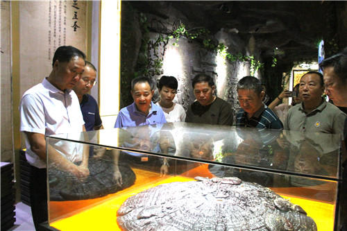 中國(guó)靈芝十大品牌|仙客來(lái)靈芝|仙客來(lái)靈芝破壁孢子粉|仙客來(lái)孢子油|仙客來(lái)靈芝飲片|仙客來(lái)破壁孢子粉|仙客來(lái)靈芝中藥飲片|馳名商標(biāo)|carbatteryresident.com| 中國(guó)靈芝十大品牌|仙客來(lái)靈芝|仙客來(lái)靈芝破壁孢子粉|仙客來(lái)孢子油|仙客來(lái)靈芝飲片|仙客來(lái)破壁孢子粉|仙客來(lái)靈芝中藥飲片|馳名商標(biāo)|carbatteryresident.com|