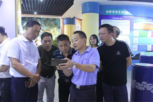 中國(guó)靈芝十大品牌|仙客來(lái)靈芝|仙客來(lái)靈芝破壁孢子粉|仙客來(lái)孢子油|仙客來(lái)靈芝飲片|仙客來(lái)破壁孢子粉|仙客來(lái)靈芝中藥飲片|馳名商標(biāo)|carbatteryresident.com| 中國(guó)靈芝十大品牌|仙客來(lái)靈芝|仙客來(lái)靈芝破壁孢子粉|仙客來(lái)孢子油|仙客來(lái)靈芝飲片|仙客來(lái)破壁孢子粉|仙客來(lái)靈芝中藥飲片|馳名商標(biāo)|carbatteryresident.com|