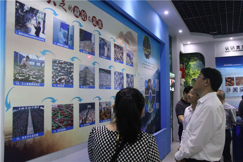 中國靈芝十大品牌|仙客來靈芝|仙客來靈芝破壁孢子粉|仙客來孢子油|仙客來靈芝飲片|仙客來破壁孢子粉|仙客來靈芝中藥飲片|馳名商標(biāo)|carbatteryresident.com| 中國靈芝十大品牌|仙客來靈芝|仙客來靈芝破壁孢子粉|仙客來孢子油|仙客來靈芝飲片|仙客來破壁孢子粉|仙客來靈芝中藥飲片|馳名商標(biāo)|carbatteryresident.com|