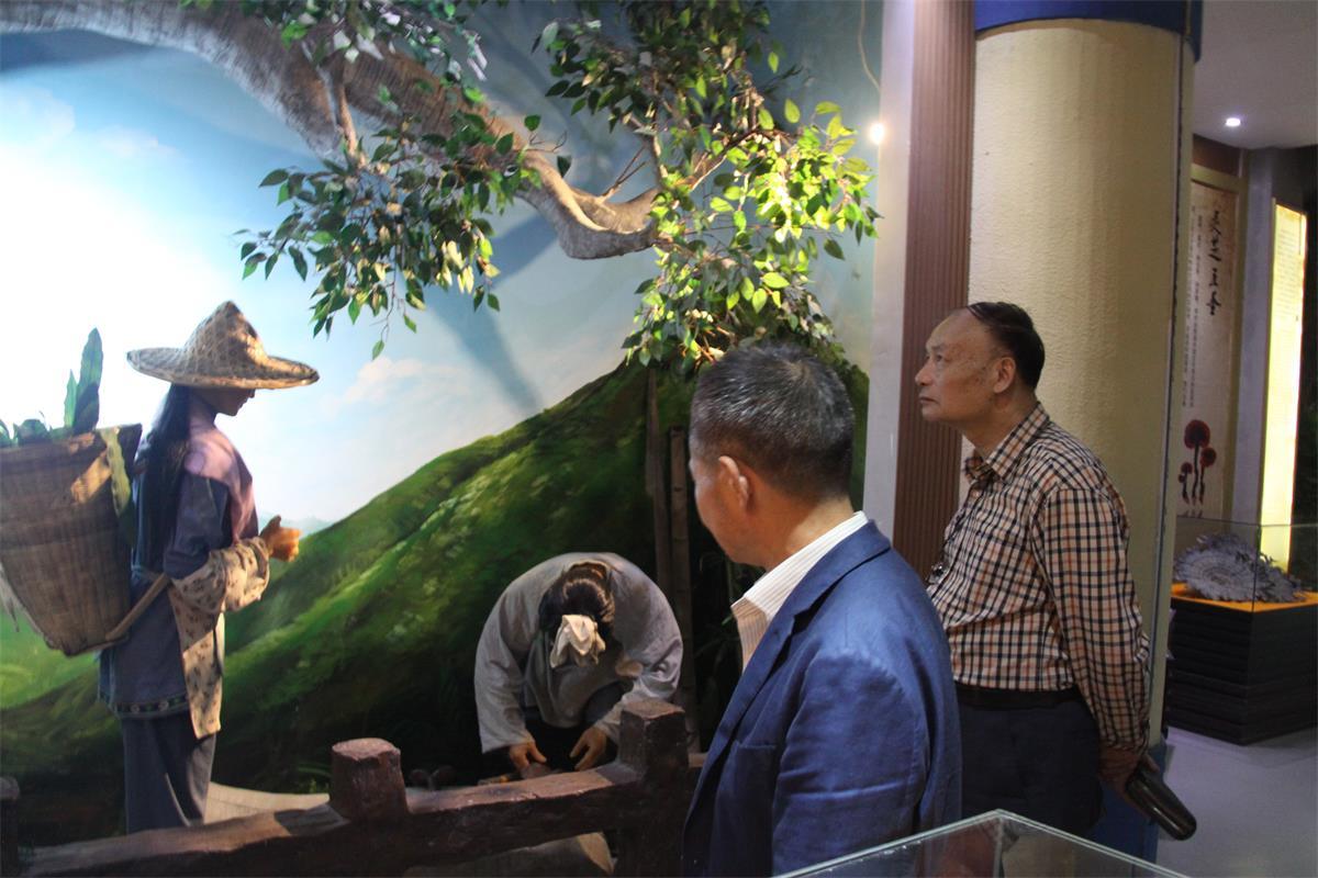 中國靈芝十大品牌|仙客來靈芝|仙客來靈芝破壁孢子粉|仙客來孢子油|仙客來靈芝飲片|仙客來破壁孢子粉|仙客來靈芝中藥飲片|馳名商標|carbatteryresident.com| 中國靈芝十大品牌|仙客來靈芝|仙客來靈芝破壁孢子粉|仙客來孢子油|仙客來靈芝飲片|仙客來破壁孢子粉|仙客來靈芝中藥飲片|馳名商標|carbatteryresident.com|