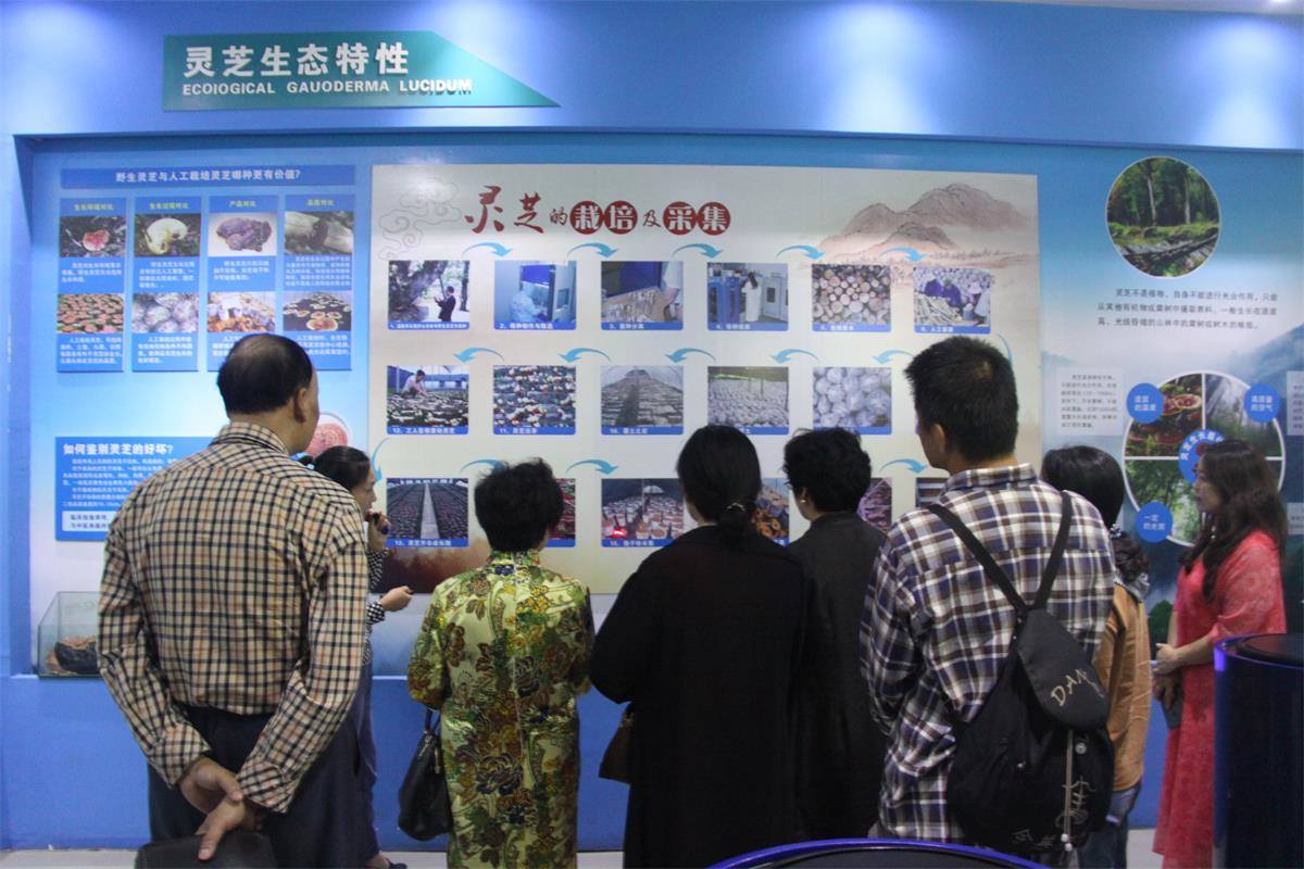 中國靈芝十大品牌|仙客來靈芝|仙客來靈芝破壁孢子粉|仙客來孢子油|仙客來靈芝飲片|仙客來破壁孢子粉|仙客來靈芝中藥飲片|馳名商標|carbatteryresident.com| 中國靈芝十大品牌|仙客來靈芝|仙客來靈芝破壁孢子粉|仙客來孢子油|仙客來靈芝飲片|仙客來破壁孢子粉|仙客來靈芝中藥飲片|馳名商標|carbatteryresident.com|