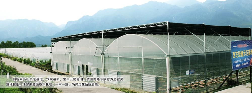 中國靈芝十大品牌|仙客來靈芝|仙客來靈芝破壁孢子粉|仙客來孢子油|仙客來靈芝飲片|仙客來破壁孢子粉|仙客來靈芝中藥飲片|馳名商標|carbatteryresident.com| 中國靈芝十大品牌|仙客來靈芝|仙客來靈芝破壁孢子粉|仙客來孢子油|仙客來靈芝飲片|仙客來破壁孢子粉|仙客來靈芝中藥飲片|馳名商標|carbatteryresident.com|