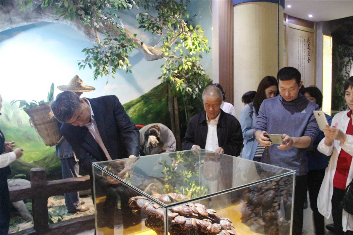 中國靈芝十大品牌|仙客來靈芝|仙客來靈芝破壁孢子粉|仙客來孢子油|仙客來靈芝飲片|仙客來破壁孢子粉|仙客來靈芝中藥飲片|馳名商標(biāo)|carbatteryresident.com| 中國靈芝十大品牌|仙客來靈芝|仙客來靈芝破壁孢子粉|仙客來孢子油|仙客來靈芝飲片|仙客來破壁孢子粉|仙客來靈芝中藥飲片|馳名商標(biāo)|carbatteryresident.com|