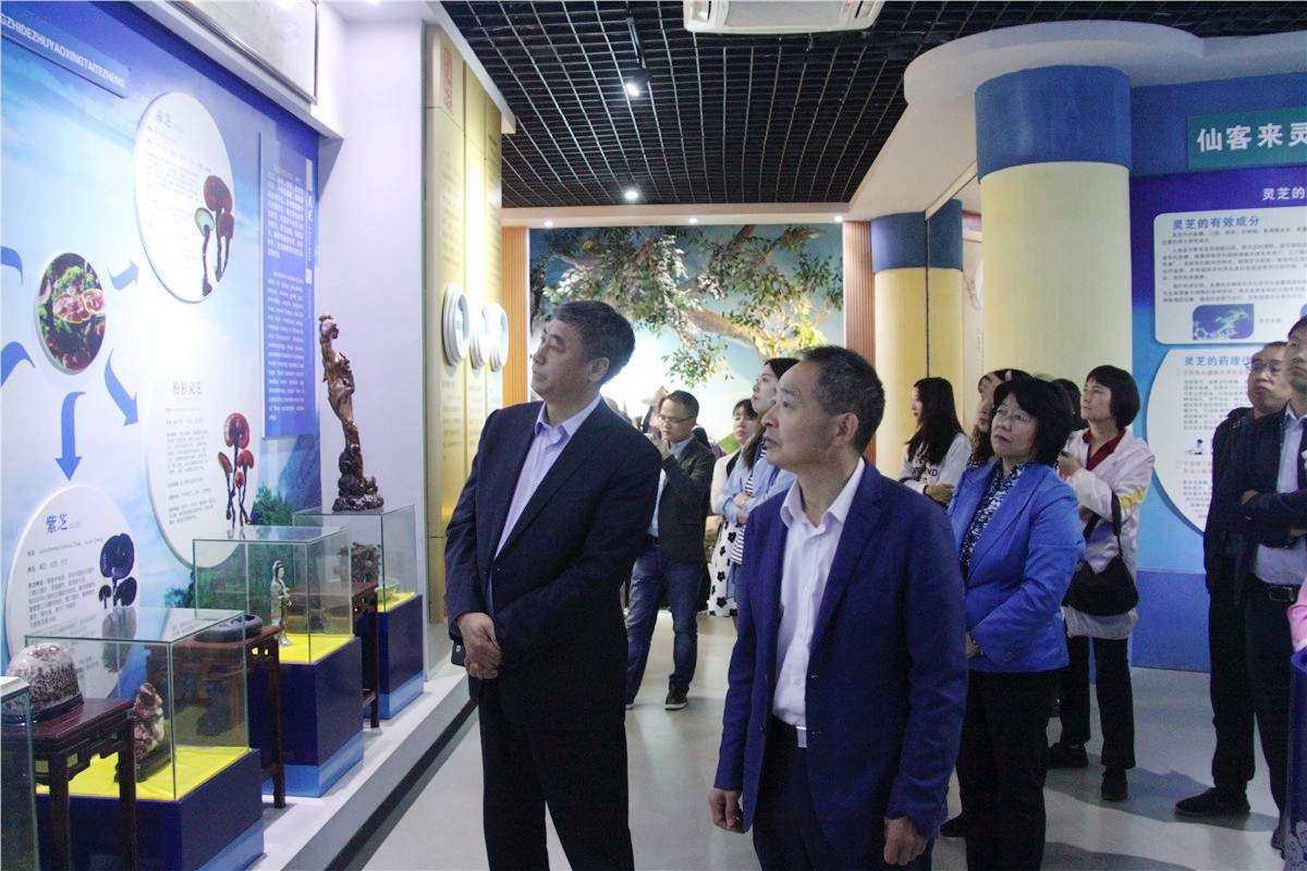 中國靈芝十大品牌|仙客來靈芝|仙客來靈芝破壁孢子粉|仙客來孢子油|仙客來靈芝飲片|仙客來破壁孢子粉|仙客來靈芝中藥飲片|馳名商標(biāo)|carbatteryresident.com| 中國靈芝十大品牌|仙客來靈芝|仙客來靈芝破壁孢子粉|仙客來孢子油|仙客來靈芝飲片|仙客來破壁孢子粉|仙客來靈芝中藥飲片|馳名商標(biāo)|carbatteryresident.com|