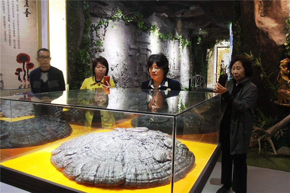 中國靈芝十大品牌|仙客來靈芝|仙客來靈芝破壁孢子粉|仙客來孢子油|仙客來靈芝飲片|仙客來破壁孢子粉|仙客來靈芝中藥飲片|馳名商標|carbatteryresident.com|