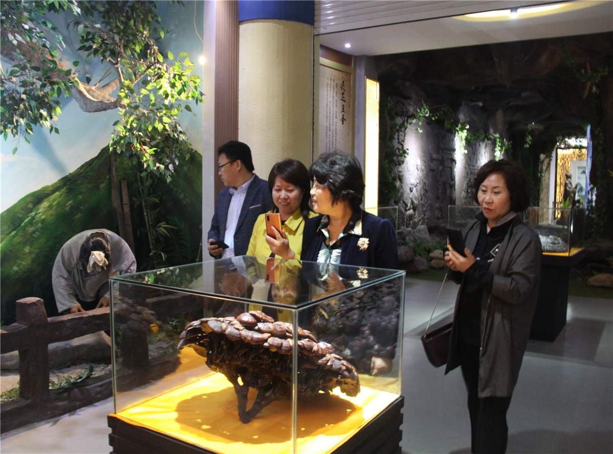 中國靈芝十大品牌|仙客來靈芝|仙客來靈芝破壁孢子粉|仙客來孢子油|仙客來靈芝飲片|仙客來破壁孢子粉|仙客來靈芝中藥飲片|馳名商標|carbatteryresident.com|