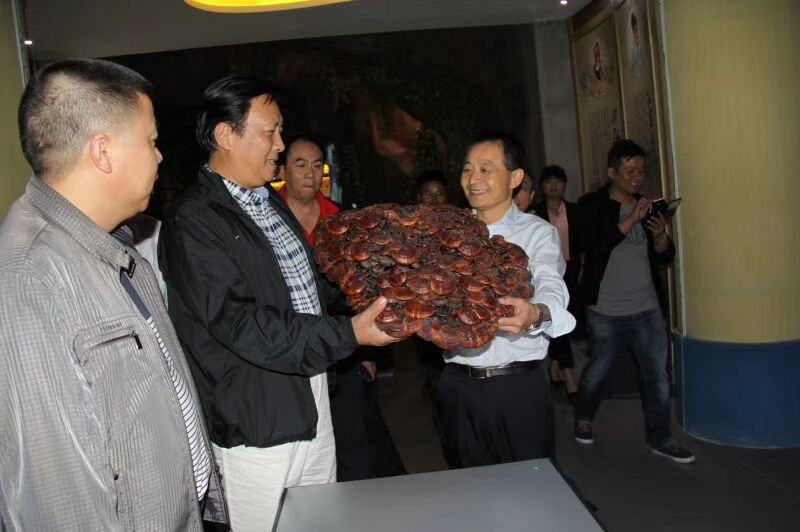 中國靈芝十大品牌|仙客來靈芝|仙客來靈芝破壁孢子粉|仙客來孢子油|仙客來靈芝飲片|仙客來破壁孢子粉|仙客來靈芝中藥飲片|馳名商標(biāo)|carbatteryresident.com| 中國靈芝十大品牌|仙客來靈芝|仙客來靈芝破壁孢子粉|仙客來孢子油|仙客來靈芝飲片|仙客來破壁孢子粉|仙客來靈芝中藥飲片|馳名商標(biāo)|carbatteryresident.com|