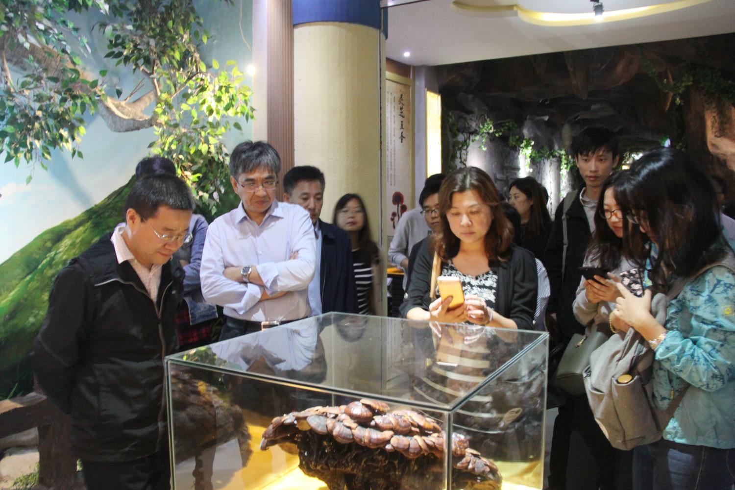 中國靈芝十大品牌|仙客來靈芝|仙客來靈芝破壁孢子粉|仙客來孢子油|仙客來靈芝飲片|仙客來破壁孢子粉|仙客來靈芝中藥飲片|馳名商標|carbatteryresident.com| 中國靈芝十大品牌|仙客來靈芝|仙客來靈芝破壁孢子粉|仙客來孢子油|仙客來靈芝飲片|仙客來破壁孢子粉|仙客來靈芝中藥飲片|馳名商標|carbatteryresident.com|