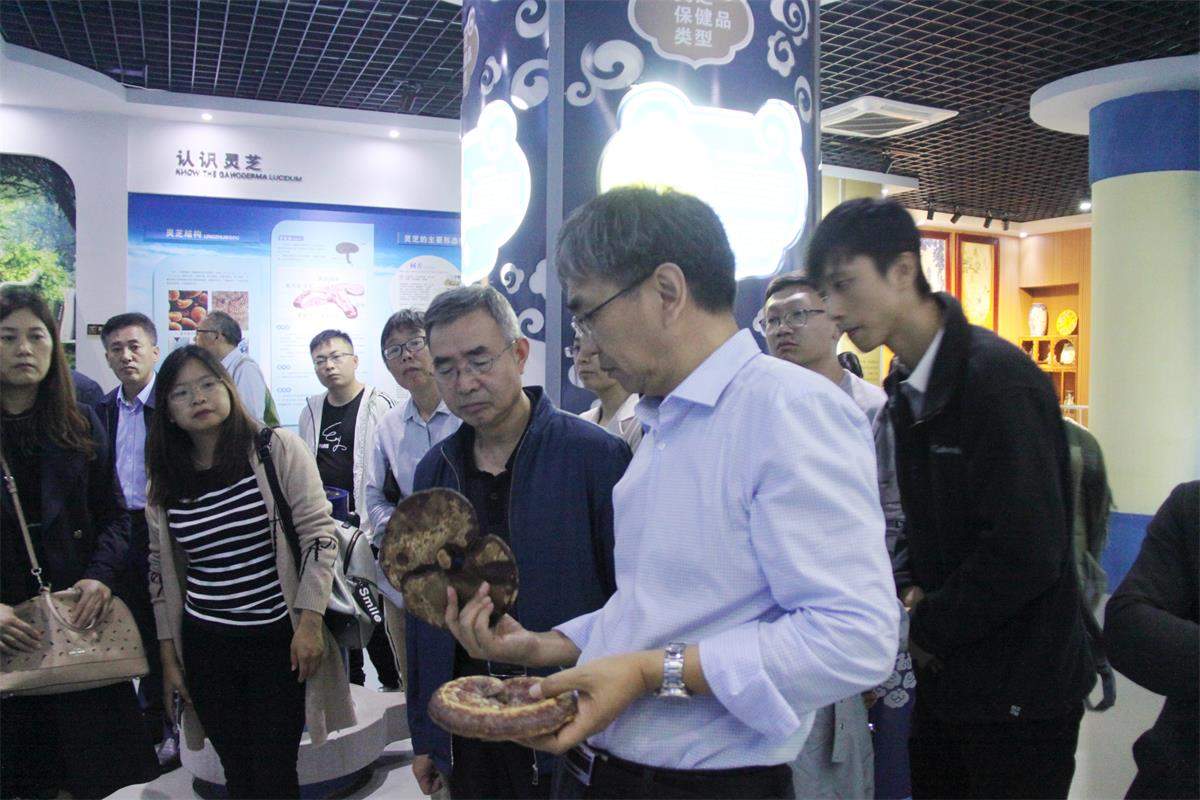 中國靈芝十大品牌|仙客來靈芝|仙客來靈芝破壁孢子粉|仙客來孢子油|仙客來靈芝飲片|仙客來破壁孢子粉|仙客來靈芝中藥飲片|馳名商標|carbatteryresident.com| 中國靈芝十大品牌|仙客來靈芝|仙客來靈芝破壁孢子粉|仙客來孢子油|仙客來靈芝飲片|仙客來破壁孢子粉|仙客來靈芝中藥飲片|馳名商標|carbatteryresident.com|