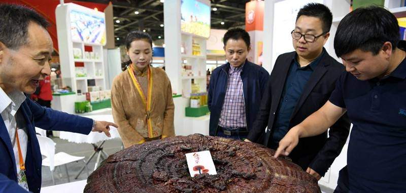 中國(guó)靈芝十大品牌|仙客來(lái)靈芝|仙客來(lái)靈芝破壁孢子粉|仙客來(lái)孢子油|仙客來(lái)靈芝飲片|仙客來(lái)破壁孢子粉|仙客來(lái)靈芝中藥飲片|馳名商標(biāo)|carbatteryresident.com| 中國(guó)靈芝十大品牌|仙客來(lái)靈芝|仙客來(lái)靈芝破壁孢子粉|仙客來(lái)孢子油|仙客來(lái)靈芝飲片|仙客來(lái)破壁孢子粉|仙客來(lái)靈芝中藥飲片|馳名商標(biāo)|carbatteryresident.com|