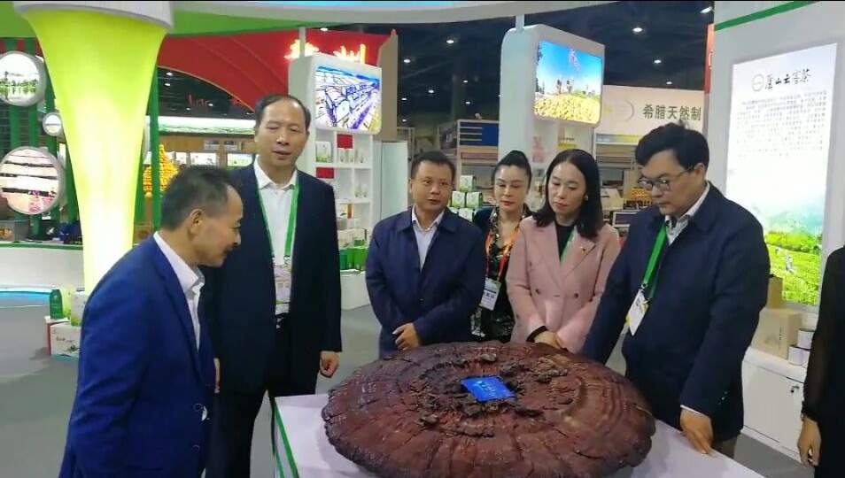 中國(guó)靈芝十大品牌|仙客來(lái)靈芝|仙客來(lái)靈芝破壁孢子粉|仙客來(lái)孢子油|仙客來(lái)靈芝飲片|仙客來(lái)破壁孢子粉|仙客來(lái)靈芝中藥飲片|馳名商標(biāo)|carbatteryresident.com| 中國(guó)靈芝十大品牌|仙客來(lái)靈芝|仙客來(lái)靈芝破壁孢子粉|仙客來(lái)孢子油|仙客來(lái)靈芝飲片|仙客來(lái)破壁孢子粉|仙客來(lái)靈芝中藥飲片|馳名商標(biāo)|carbatteryresident.com|