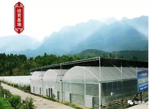 中國(guó)靈芝十大品牌|仙客來靈芝|仙客來靈芝破壁孢子粉|仙客來孢子油|仙客來靈芝飲片|仙客來破壁孢子粉|仙客來靈芝中藥飲片|馳名商標(biāo)|carbatteryresident.com| 中國(guó)靈芝十大品牌|仙客來靈芝|仙客來靈芝破壁孢子粉|仙客來孢子油|仙客來靈芝飲片|仙客來破壁孢子粉|仙客來靈芝中藥飲片|馳名商標(biāo)|carbatteryresident.com|