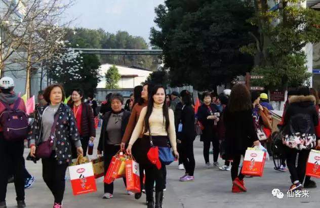 中國(guó)靈芝十大品牌|仙客來靈芝|仙客來靈芝破壁孢子粉|仙客來孢子油|仙客來靈芝飲片|仙客來破壁孢子粉|仙客來靈芝中藥飲片|馳名商標(biāo)|carbatteryresident.com| 中國(guó)靈芝十大品牌|仙客來靈芝|仙客來靈芝破壁孢子粉|仙客來孢子油|仙客來靈芝飲片|仙客來破壁孢子粉|仙客來靈芝中藥飲片|馳名商標(biāo)|carbatteryresident.com|