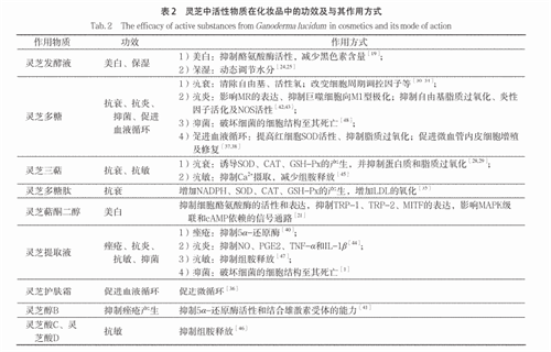 杭州亞運(yùn)會(huì)官方靈芝產(chǎn)品供應(yīng)商|杭州亞運(yùn)會(huì)官方供應(yīng)商|中國靈芝十大品牌|仙客來靈芝|仙客來靈芝破壁孢子粉|仙客來孢子油|仙客來靈芝飲片|仙客來破壁孢子粉|靈芝孢子油|孢子粉|靈芝破壁孢子粉|靈芝|中華老字號(hào) 杭州亞運(yùn)會(huì)官方靈芝產(chǎn)品供應(yīng)商|杭州亞運(yùn)會(huì)官方供應(yīng)商|中國靈芝十大品牌|仙客來靈芝|仙客來靈芝破壁孢子粉|仙客來孢子油|仙客來靈芝飲片|仙客來破壁孢子粉|靈芝孢子油|孢子粉|靈芝破壁孢子粉|靈芝|中華老字號(hào)