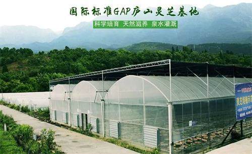 1589533926218370.jpg 5897B2FD29CD6B8BF461AE4F8EAFBF58_看圖王.jpg