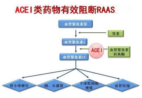 1590804790216134.jpg 9B788AE833A88E1D0481FECC3080E22D.jpg