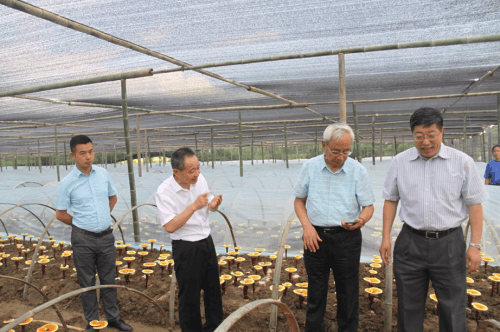 杭州亞運(yùn)會(huì)官方靈芝產(chǎn)品供應(yīng)商|杭州亞運(yùn)會(huì)官方供應(yīng)商|中國靈芝十大品牌|仙客來靈芝|仙客來靈芝破壁孢子粉|仙客來孢子油|仙客來靈芝飲片|仙客來破壁孢子粉|靈芝孢子油|孢子粉|靈芝破壁孢子粉|靈芝|中華老字號(hào) 杭州亞運(yùn)會(huì)官方靈芝產(chǎn)品供應(yīng)商|杭州亞運(yùn)會(huì)官方供應(yīng)商|中國靈芝十大品牌|仙客來靈芝|仙客來靈芝破壁孢子粉|仙客來孢子油|仙客來靈芝飲片|仙客來破壁孢子粉|靈芝孢子油|孢子粉|靈芝破壁孢子粉|靈芝|中華老字號(hào)