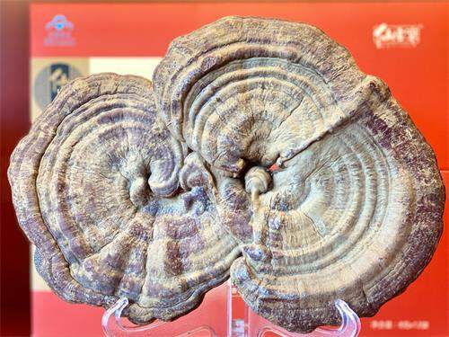 1593565378730612.jpeg IMG_3538.jpeg