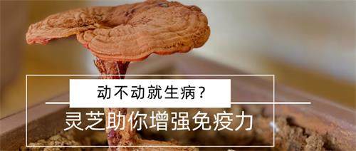 1595582253907768.jpg 默認(rèn)標(biāo)題_公眾號(hào)封面首圖_2020-06-18-0 (1).jpg