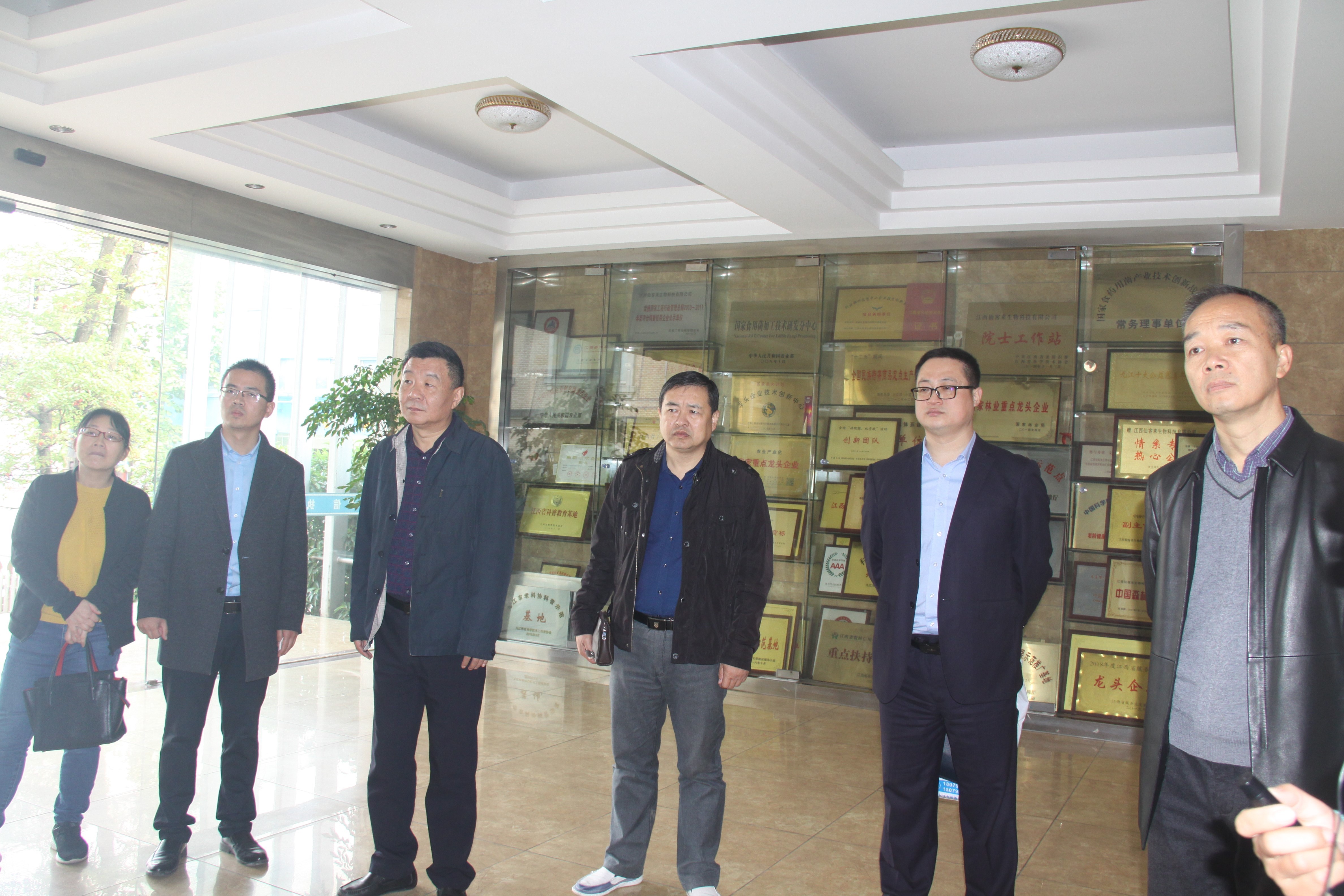 杭州亞運(yùn)會(huì)官方靈芝產(chǎn)品供應(yīng)商|杭州亞運(yùn)會(huì)官方供應(yīng)商|中國(guó)靈芝十大品牌|仙客來(lái)靈芝|仙客來(lái)靈芝破壁孢子粉|仙客來(lái)孢子油|仙客來(lái)靈芝飲片|仙客來(lái)破壁孢子粉|靈芝孢子油|孢子粉|靈芝破壁孢子粉|靈芝|中華老字號(hào) 杭州亞運(yùn)會(huì)官方靈芝產(chǎn)品供應(yīng)商|杭州亞運(yùn)會(huì)官方供應(yīng)商|中國(guó)靈芝十大品牌|仙客來(lái)靈芝|仙客來(lái)靈芝破壁孢子粉|仙客來(lái)孢子油|仙客來(lái)靈芝飲片|仙客來(lái)破壁孢子粉|靈芝孢子油|孢子粉|靈芝破壁孢子粉|靈芝|中華老字號(hào)