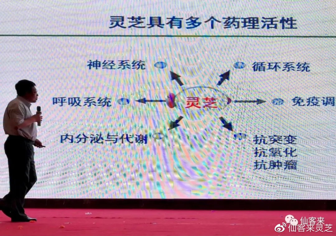 杭州亞運會官方靈芝產品供應商|杭州亞運會官方供應商|中國靈芝十大品牌|仙客來靈芝|仙客來靈芝破壁孢子粉|仙客來孢子油|仙客來靈芝飲片|仙客來破壁孢子粉|靈芝孢子油|孢子粉|靈芝破壁孢子粉|靈芝|中華老字號 杭州亞運會官方靈芝產品供應商|杭州亞運會官方供應商|中國靈芝十大品牌|仙客來靈芝|仙客來靈芝破壁孢子粉|仙客來孢子油|仙客來靈芝飲片|仙客來破壁孢子粉|靈芝孢子油|孢子粉|靈芝破壁孢子粉|靈芝|中華老字號