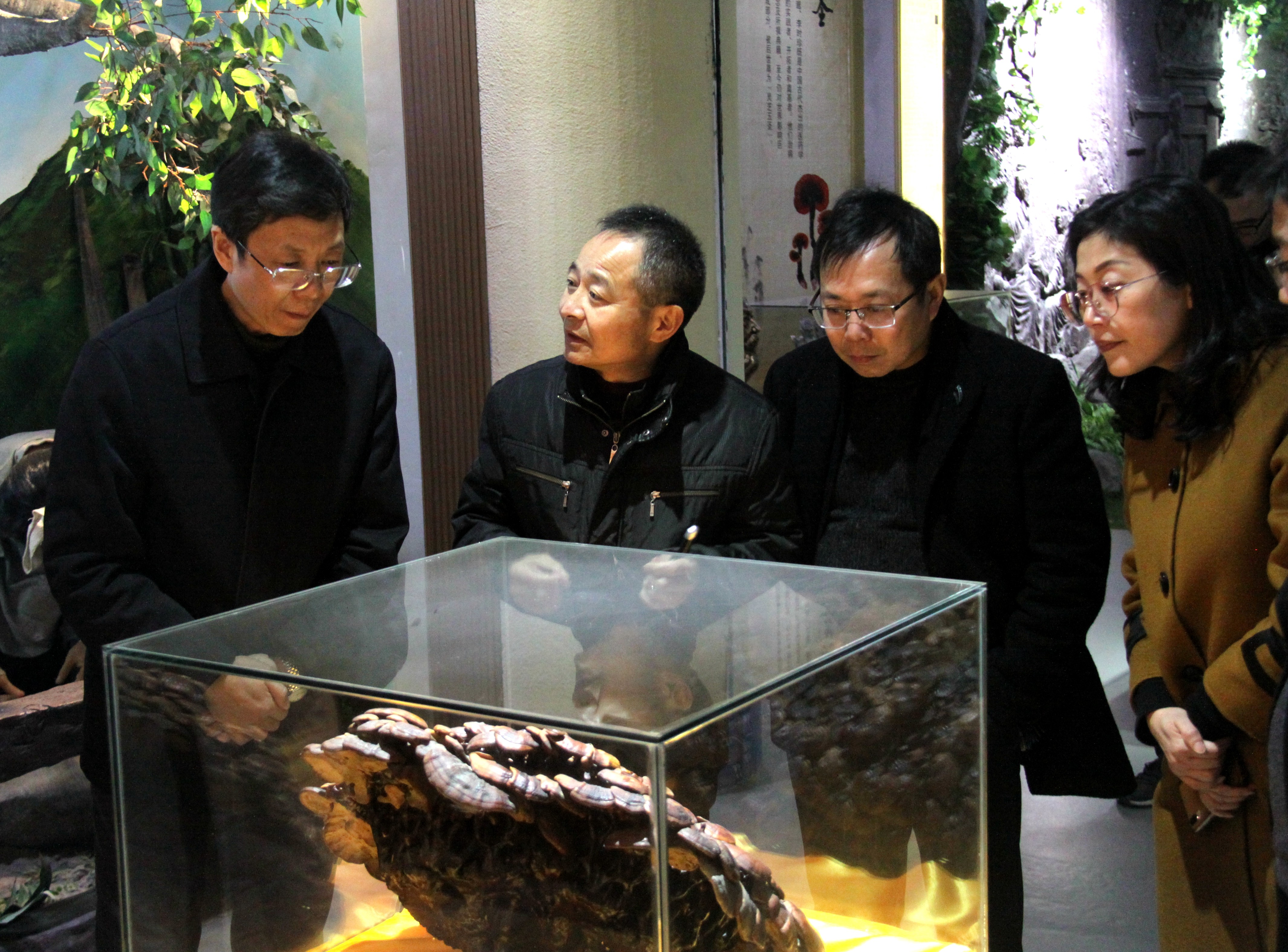 杭州亞運(yùn)會(huì)官方靈芝產(chǎn)品供應(yīng)商|杭州亞運(yùn)會(huì)官方供應(yīng)商|中國(guó)靈芝十大品牌|仙客來靈芝|仙客來靈芝破壁孢子粉|仙客來孢子油|仙客來靈芝飲片|仙客來破壁孢子粉|靈芝孢子油|孢子粉|靈芝破壁孢子粉|靈芝|中華老字號(hào) 杭州亞運(yùn)會(huì)官方靈芝產(chǎn)品供應(yīng)商|杭州亞運(yùn)會(huì)官方供應(yīng)商|中國(guó)靈芝十大品牌|仙客來靈芝|仙客來靈芝破壁孢子粉|仙客來孢子油|仙客來靈芝飲片|仙客來破壁孢子粉|靈芝孢子油|孢子粉|靈芝破壁孢子粉|靈芝|中華老字號(hào)