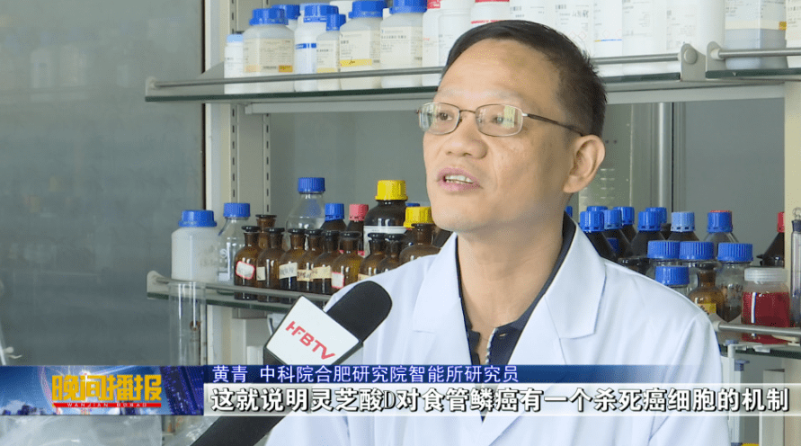 杭州亞運(yùn)會(huì)官方靈芝產(chǎn)品供應(yīng)商|杭州亞運(yùn)會(huì)官方供應(yīng)商|中國(guó)靈芝十大品牌|仙客來(lái)靈芝|仙客來(lái)靈芝破壁孢子粉|仙客來(lái)孢子油|仙客來(lái)靈芝飲片|仙客來(lái)破壁孢子粉|靈芝孢子油|孢子粉|靈芝破壁孢子粉|靈芝|中華老字號(hào) 杭州亞運(yùn)會(huì)官方靈芝產(chǎn)品供應(yīng)商|杭州亞運(yùn)會(huì)官方供應(yīng)商|中國(guó)靈芝十大品牌|仙客來(lái)靈芝|仙客來(lái)靈芝破壁孢子粉|仙客來(lái)孢子油|仙客來(lái)靈芝飲片|仙客來(lái)破壁孢子粉|靈芝孢子油|孢子粉|靈芝破壁孢子粉|靈芝|中華老字號(hào)