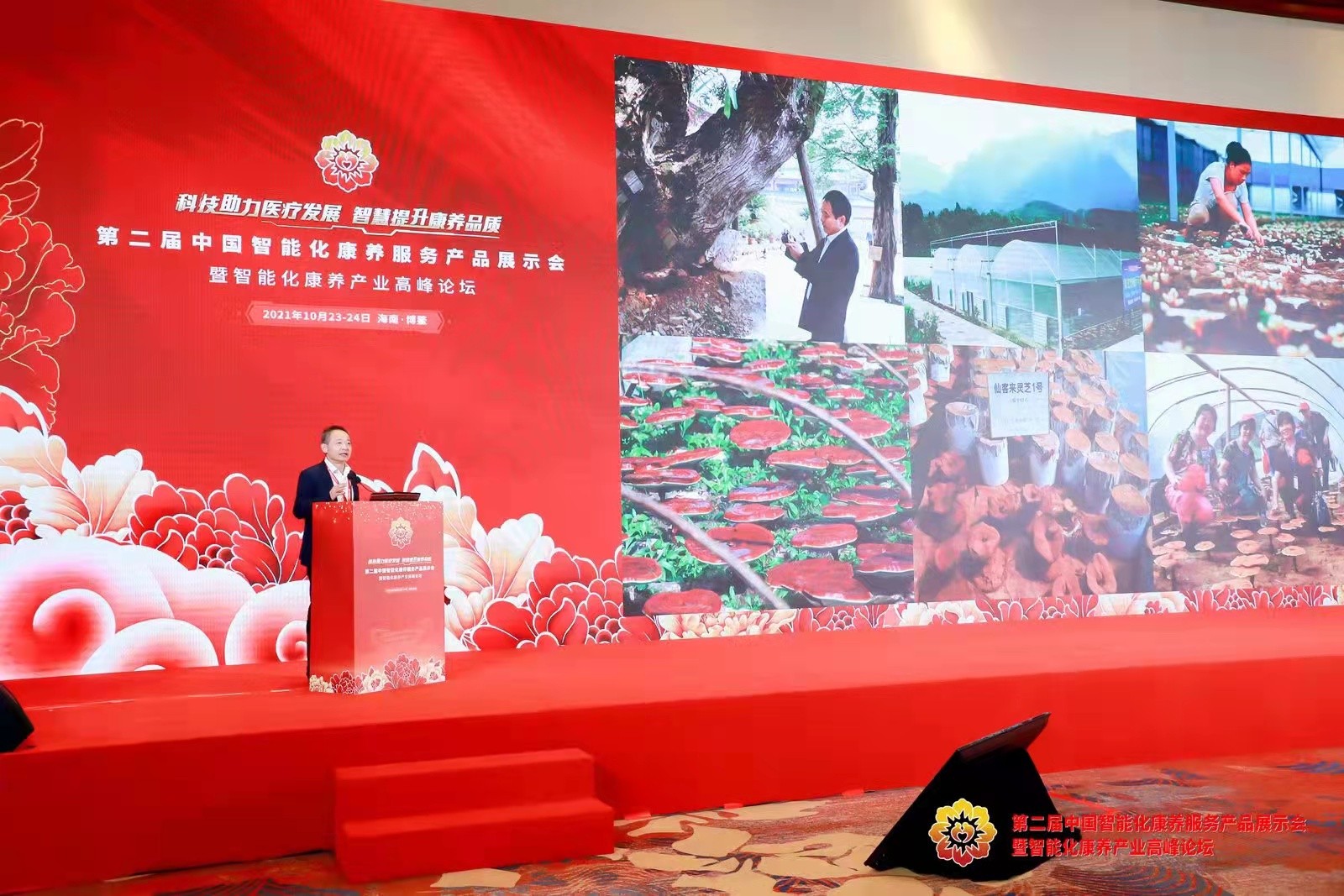 杭州亞運會官方靈芝產品供應商|杭州亞運會官方供應商|中國靈芝十大品牌|仙客來靈芝|仙客來靈芝破壁孢子粉|仙客來孢子油|仙客來靈芝飲片|仙客來破壁孢子粉|靈芝孢子油|孢子粉|靈芝破壁孢子粉|靈芝|中華老字號 杭州亞運會官方靈芝產品供應商|杭州亞運會官方供應商|中國靈芝十大品牌|仙客來靈芝|仙客來靈芝破壁孢子粉|仙客來孢子油|仙客來靈芝飲片|仙客來破壁孢子粉|靈芝孢子油|孢子粉|靈芝破壁孢子粉|靈芝|中華老字號