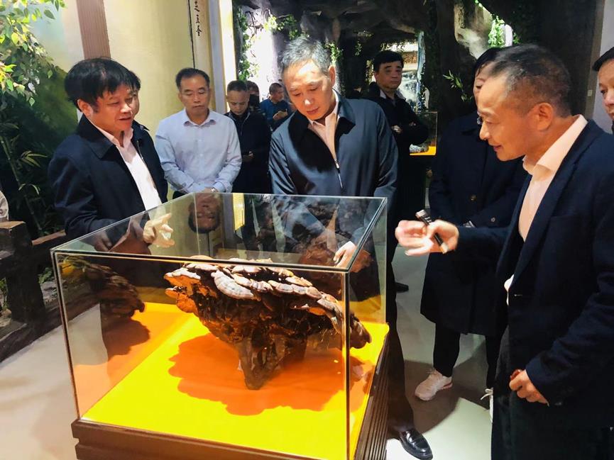 杭州亞運(yùn)會(huì)官方靈芝產(chǎn)品供應(yīng)商|杭州亞運(yùn)會(huì)官方供應(yīng)商|中國靈芝十大品牌|仙客來靈芝|仙客來靈芝破壁孢子粉|仙客來孢子油|仙客來靈芝飲片|仙客來破壁孢子粉|靈芝孢子油|孢子粉|靈芝破壁孢子粉|靈芝|中華老字號(hào)