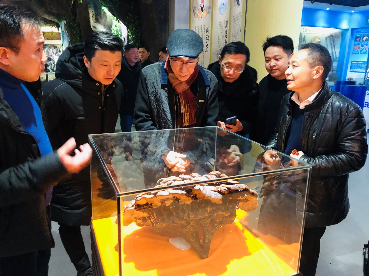 杭州亞運會官方靈芝產(chǎn)品供應(yīng)商|杭州亞運會官方供應(yīng)商|中國靈芝十大品牌|仙客來靈芝|仙客來靈芝破壁孢子粉|仙客來孢子油|仙客來靈芝飲片|仙客來破壁孢子粉|靈芝孢子油|孢子粉|靈芝破壁孢子粉|靈芝|中華老字號 杭州亞運會官方靈芝產(chǎn)品供應(yīng)商|杭州亞運會官方供應(yīng)商|中國靈芝十大品牌|仙客來靈芝|仙客來靈芝破壁孢子粉|仙客來孢子油|仙客來靈芝飲片|仙客來破壁孢子粉|靈芝孢子油|孢子粉|靈芝破壁孢子粉|靈芝|中華老字號