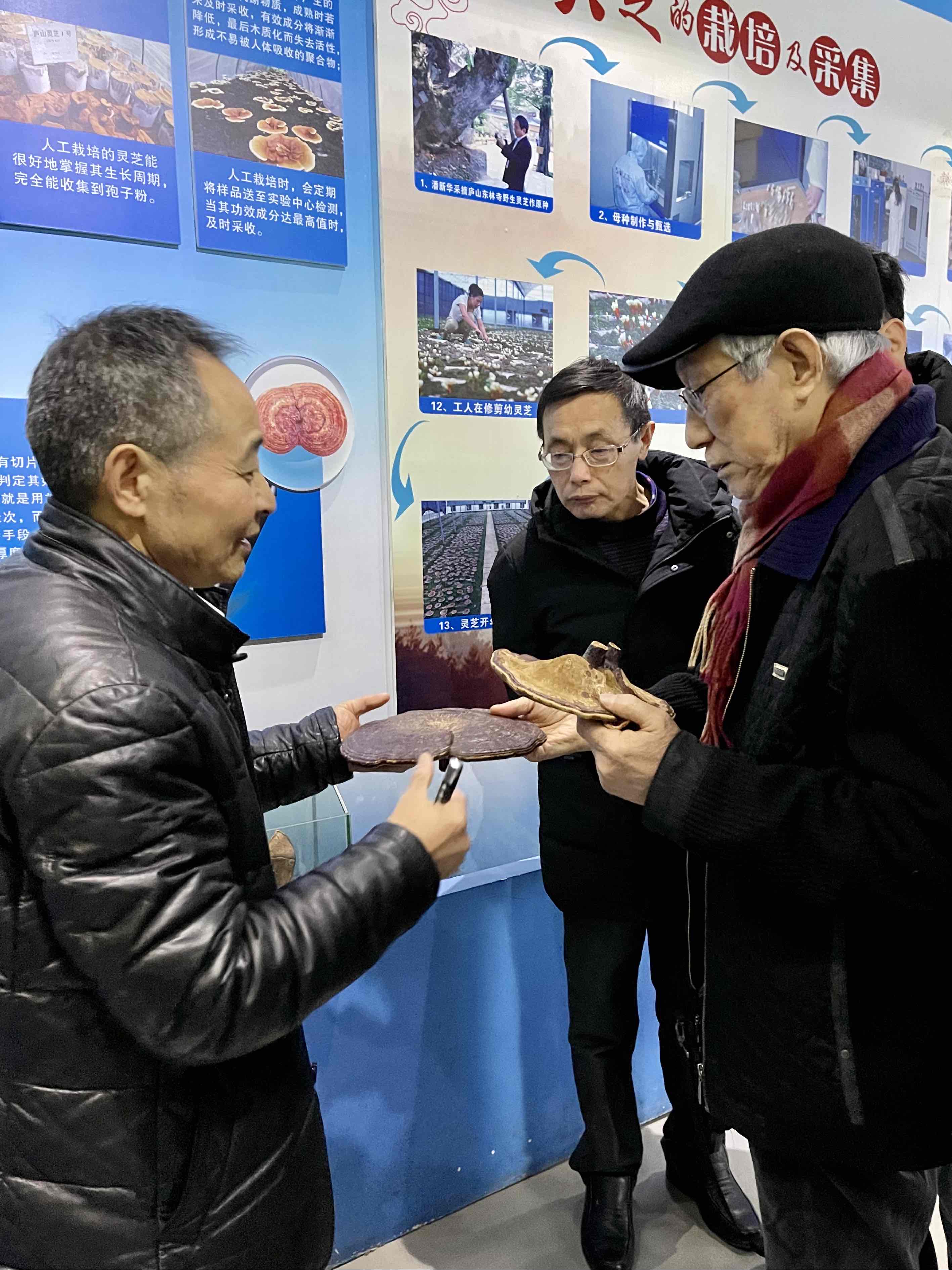 杭州亞運會官方靈芝產(chǎn)品供應(yīng)商|杭州亞運會官方供應(yīng)商|中國靈芝十大品牌|仙客來靈芝|仙客來靈芝破壁孢子粉|仙客來孢子油|仙客來靈芝飲片|仙客來破壁孢子粉|靈芝孢子油|孢子粉|靈芝破壁孢子粉|靈芝|中華老字號 杭州亞運會官方靈芝產(chǎn)品供應(yīng)商|杭州亞運會官方供應(yīng)商|中國靈芝十大品牌|仙客來靈芝|仙客來靈芝破壁孢子粉|仙客來孢子油|仙客來靈芝飲片|仙客來破壁孢子粉|靈芝孢子油|孢子粉|靈芝破壁孢子粉|靈芝|中華老字號