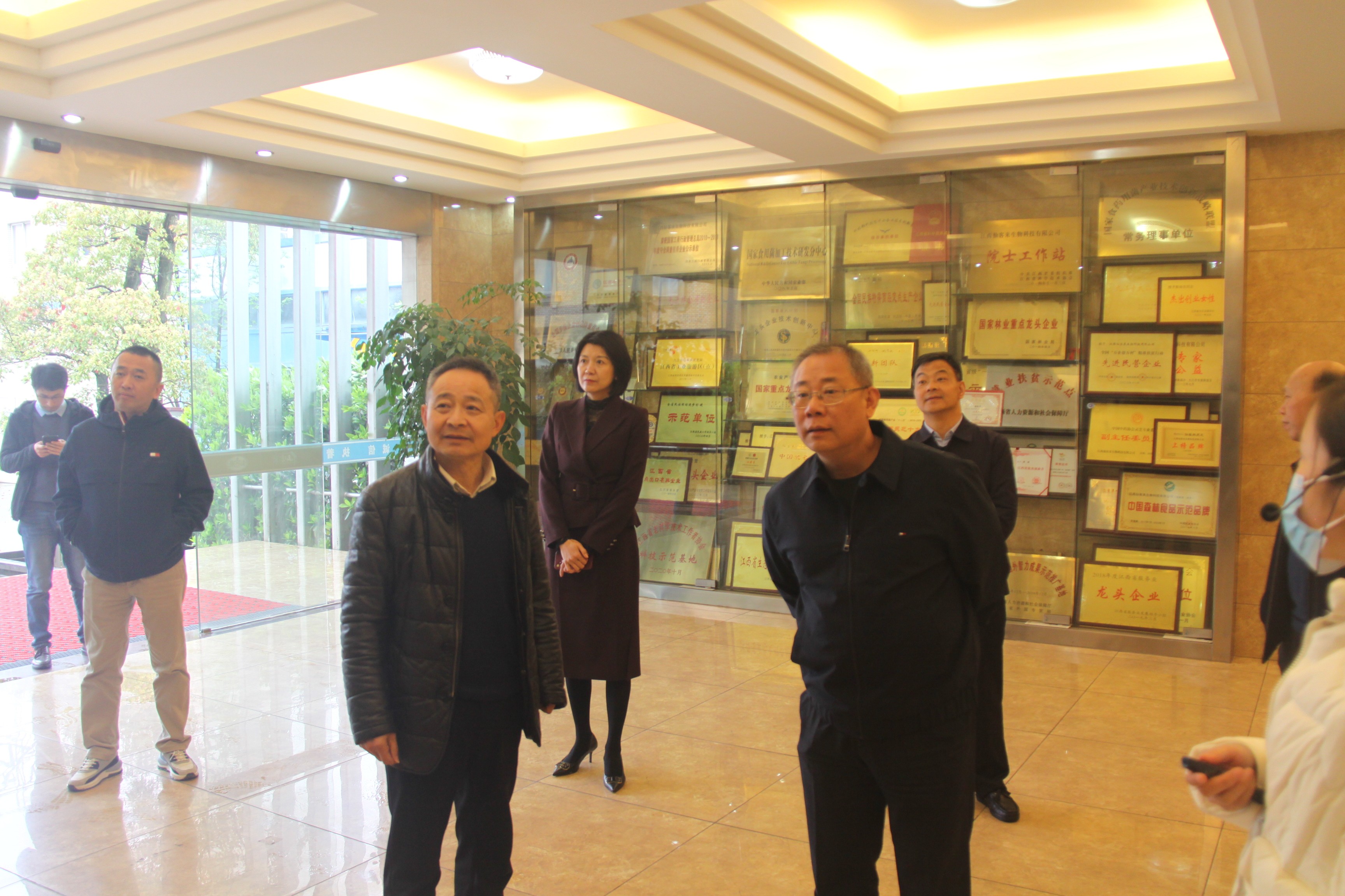 杭州亞運(yùn)會(huì)官方靈芝產(chǎn)品供應(yīng)商|杭州亞運(yùn)會(huì)官方供應(yīng)商|中國靈芝十大品牌|仙客來靈芝|仙客來靈芝破壁孢子粉|仙客來孢子油|仙客來靈芝飲片|仙客來破壁孢子粉|靈芝孢子油|孢子粉|靈芝破壁孢子粉|靈芝|中華老字號(hào) 杭州亞運(yùn)會(huì)官方靈芝產(chǎn)品供應(yīng)商|杭州亞運(yùn)會(huì)官方供應(yīng)商|中國靈芝十大品牌|仙客來靈芝|仙客來靈芝破壁孢子粉|仙客來孢子油|仙客來靈芝飲片|仙客來破壁孢子粉|靈芝孢子油|孢子粉|靈芝破壁孢子粉|靈芝|中華老字號(hào)