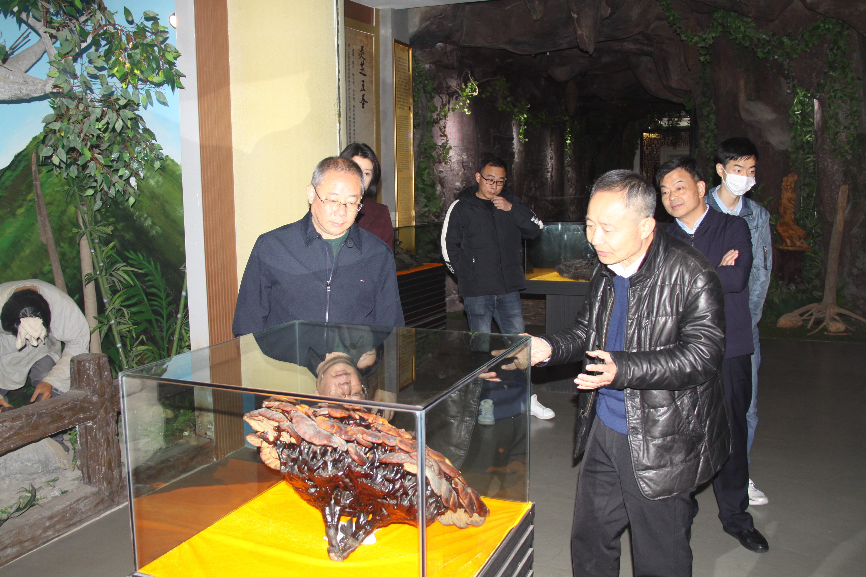 杭州亞運(yùn)會(huì)官方靈芝產(chǎn)品供應(yīng)商|杭州亞運(yùn)會(huì)官方供應(yīng)商|中國靈芝十大品牌|仙客來靈芝|仙客來靈芝破壁孢子粉|仙客來孢子油|仙客來靈芝飲片|仙客來破壁孢子粉|靈芝孢子油|孢子粉|靈芝破壁孢子粉|靈芝|中華老字號(hào) 杭州亞運(yùn)會(huì)官方靈芝產(chǎn)品供應(yīng)商|杭州亞運(yùn)會(huì)官方供應(yīng)商|中國靈芝十大品牌|仙客來靈芝|仙客來靈芝破壁孢子粉|仙客來孢子油|仙客來靈芝飲片|仙客來破壁孢子粉|靈芝孢子油|孢子粉|靈芝破壁孢子粉|靈芝|中華老字號(hào)