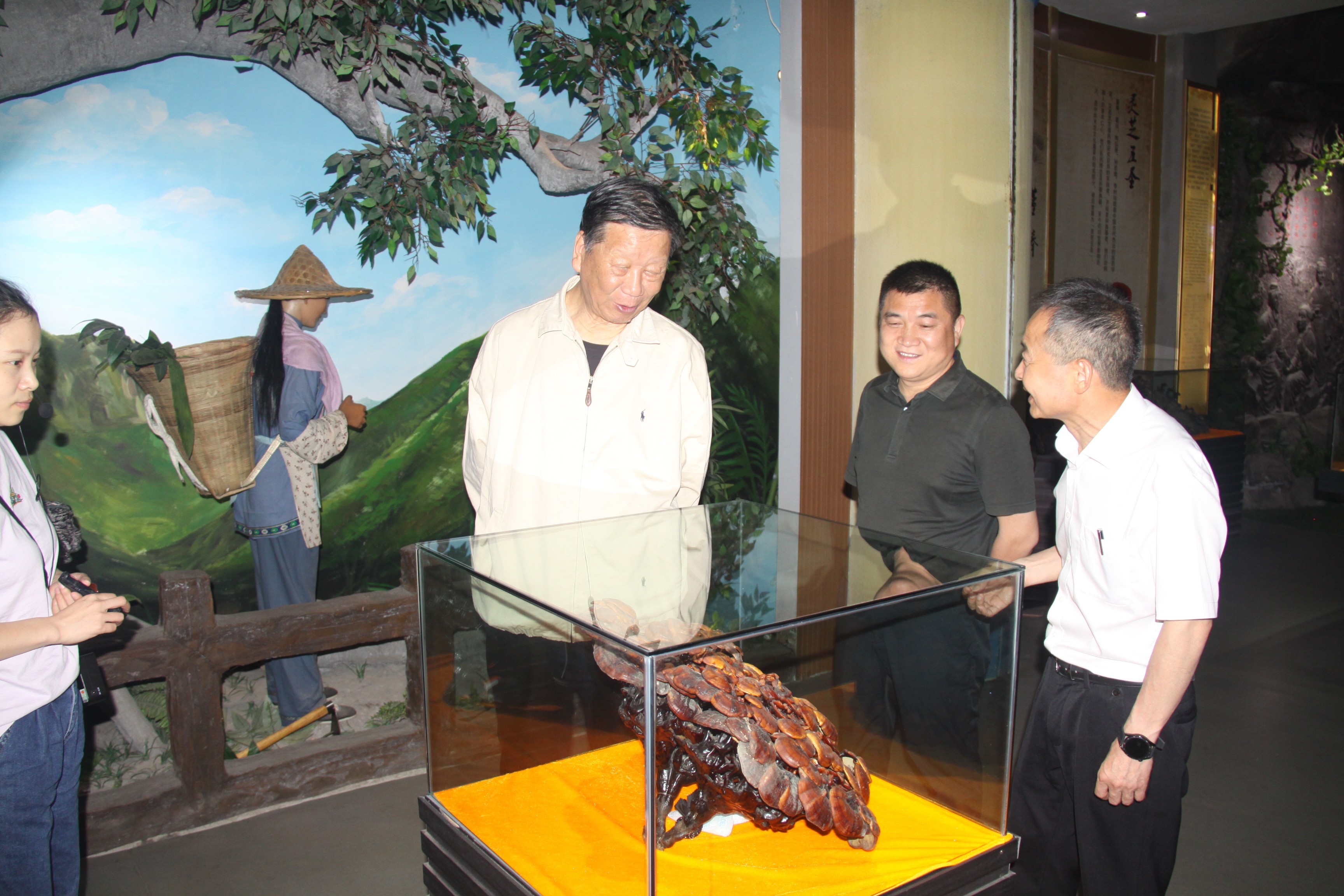 杭州亞運會官方靈芝產(chǎn)品供應商|杭州亞運會官方供應商|中國靈芝十大品牌|仙客來靈芝|仙客來靈芝破壁孢子粉|仙客來孢子油|仙客來靈芝飲片|仙客來破壁孢子粉|靈芝孢子油|孢子粉|靈芝破壁孢子粉|靈芝|中華老字號 杭州亞運會官方靈芝產(chǎn)品供應商|杭州亞運會官方供應商|中國靈芝十大品牌|仙客來靈芝|仙客來靈芝破壁孢子粉|仙客來孢子油|仙客來靈芝飲片|仙客來破壁孢子粉|靈芝孢子油|孢子粉|靈芝破壁孢子粉|靈芝|中華老字號