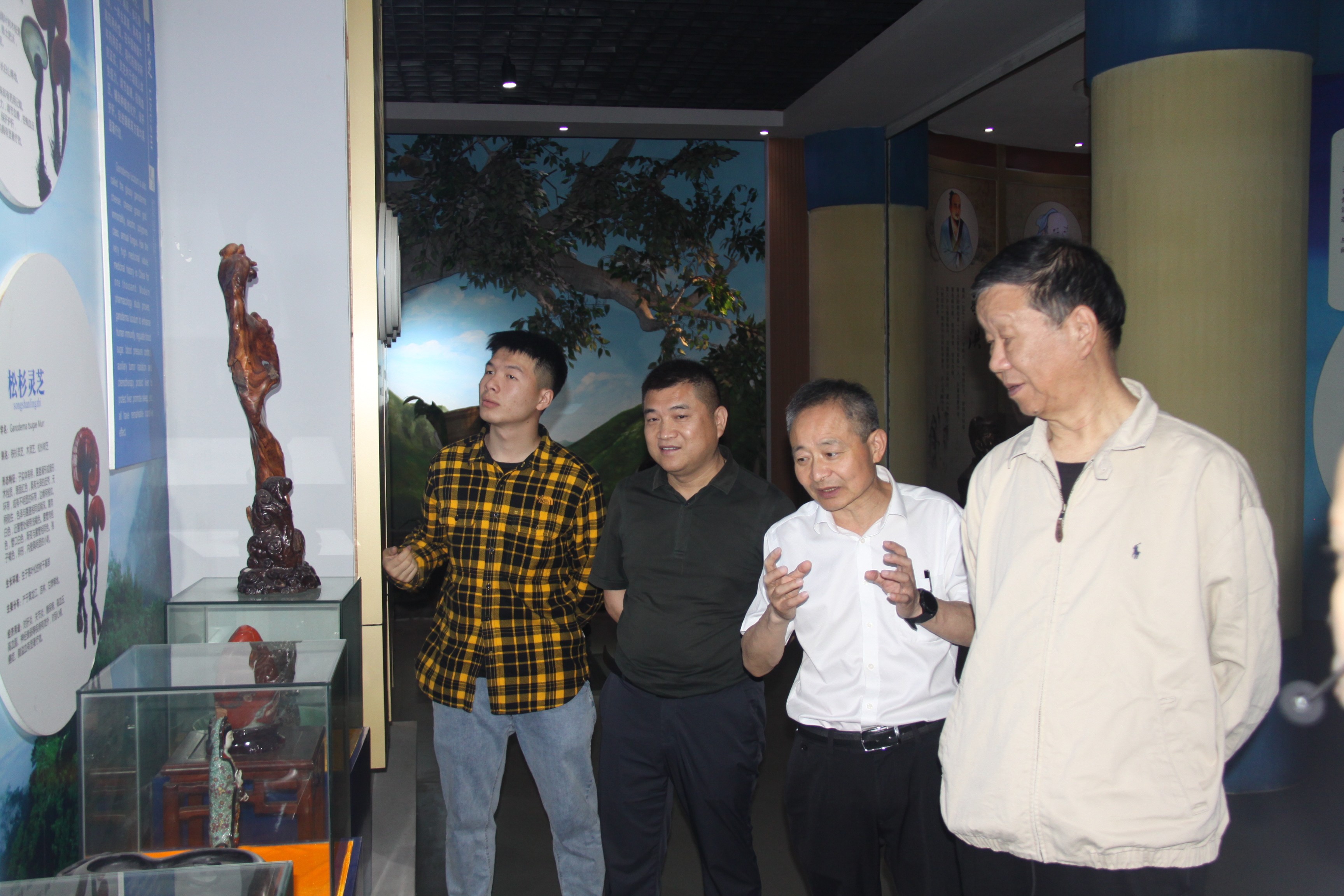 杭州亞運會官方靈芝產(chǎn)品供應商|杭州亞運會官方供應商|中國靈芝十大品牌|仙客來靈芝|仙客來靈芝破壁孢子粉|仙客來孢子油|仙客來靈芝飲片|仙客來破壁孢子粉|靈芝孢子油|孢子粉|靈芝破壁孢子粉|靈芝|中華老字號 杭州亞運會官方靈芝產(chǎn)品供應商|杭州亞運會官方供應商|中國靈芝十大品牌|仙客來靈芝|仙客來靈芝破壁孢子粉|仙客來孢子油|仙客來靈芝飲片|仙客來破壁孢子粉|靈芝孢子油|孢子粉|靈芝破壁孢子粉|靈芝|中華老字號