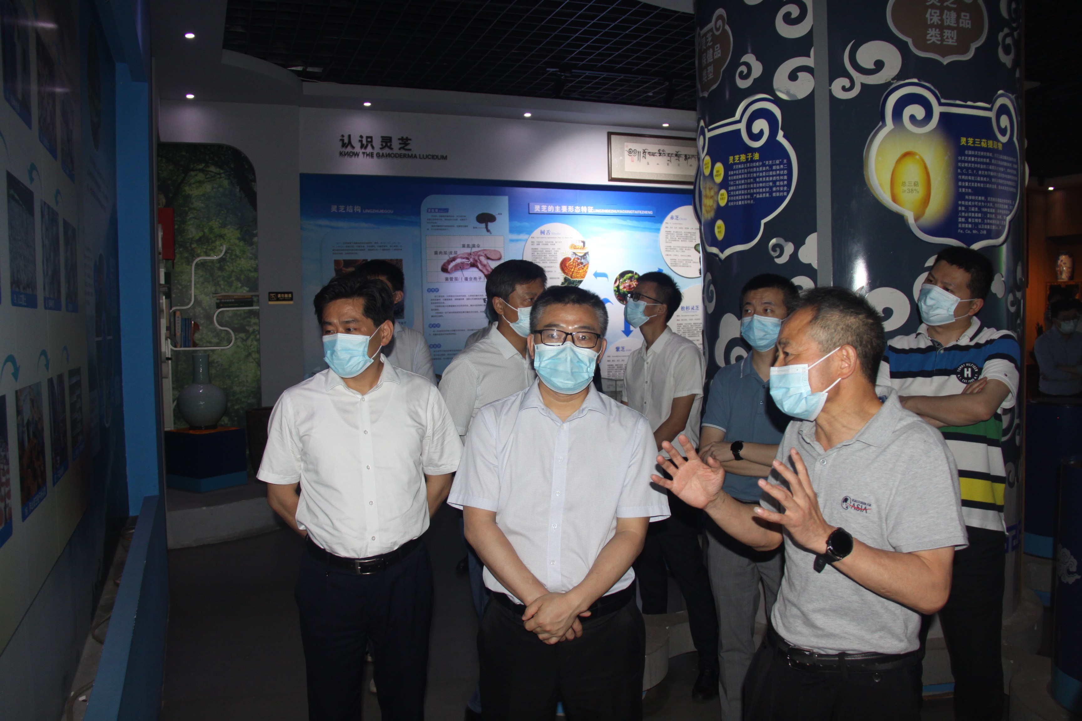 杭州亞運(yùn)會官方靈芝產(chǎn)品供應(yīng)商|杭州亞運(yùn)會官方供應(yīng)商|中國靈芝十大品牌|仙客來靈芝|仙客來靈芝破壁孢子粉|仙客來孢子油|仙客來靈芝飲片|仙客來破壁孢子粉|靈芝孢子油|孢子粉|靈芝破壁孢子粉|靈芝|中華老字號 杭州亞運(yùn)會官方靈芝產(chǎn)品供應(yīng)商|杭州亞運(yùn)會官方供應(yīng)商|中國靈芝十大品牌|仙客來靈芝|仙客來靈芝破壁孢子粉|仙客來孢子油|仙客來靈芝飲片|仙客來破壁孢子粉|靈芝孢子油|孢子粉|靈芝破壁孢子粉|靈芝|中華老字號