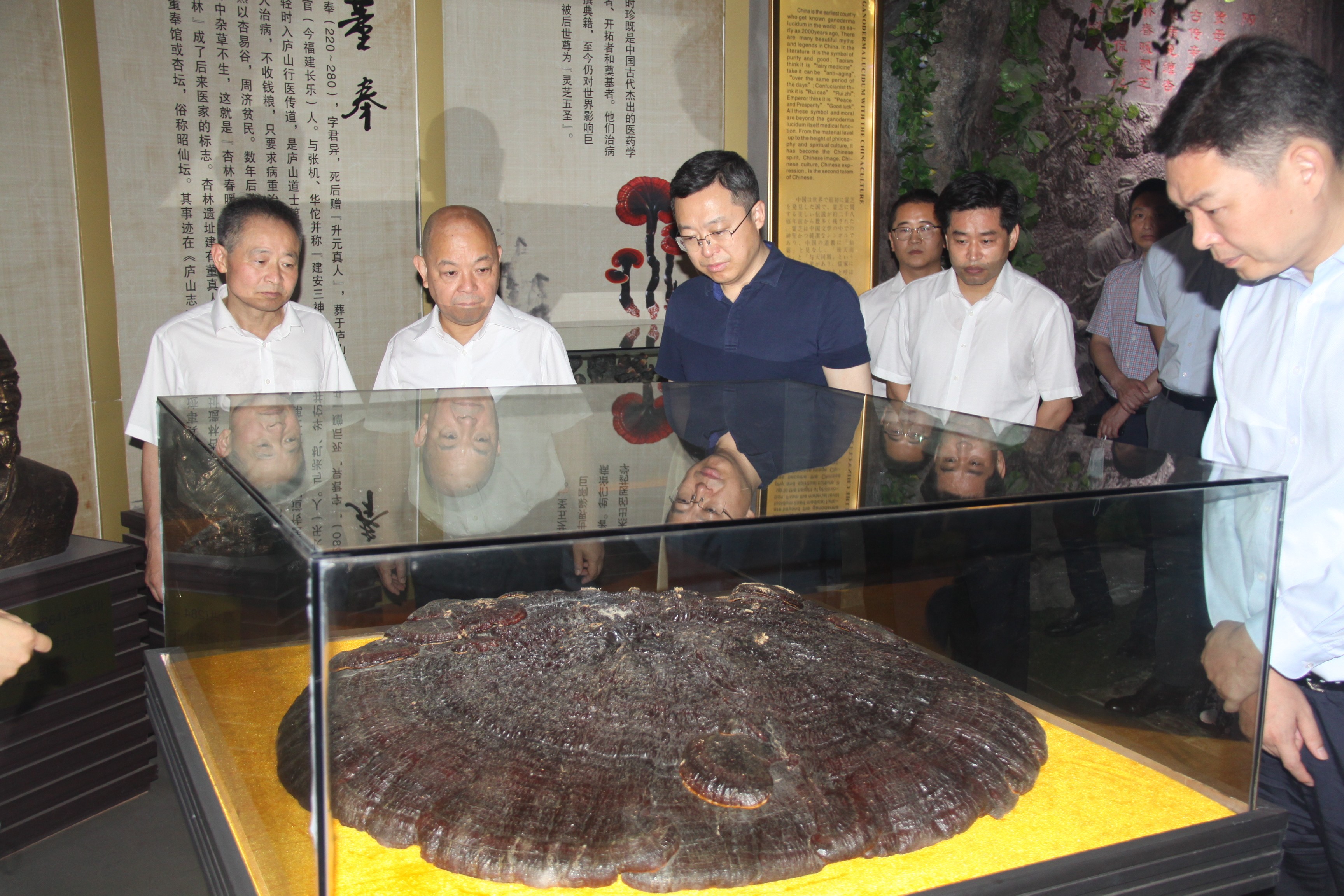 杭州亞運會官方靈芝產品供應商|杭州亞運會官方供應商|中國靈芝十大品牌|仙客來靈芝|仙客來靈芝破壁孢子粉|仙客來孢子油|仙客來靈芝飲片|仙客來破壁孢子粉|靈芝孢子油|孢子粉|靈芝破壁孢子粉|靈芝|中華老字號 杭州亞運會官方靈芝產品供應商|杭州亞運會官方供應商|中國靈芝十大品牌|仙客來靈芝|仙客來靈芝破壁孢子粉|仙客來孢子油|仙客來靈芝飲片|仙客來破壁孢子粉|靈芝孢子油|孢子粉|靈芝破壁孢子粉|靈芝|中華老字號