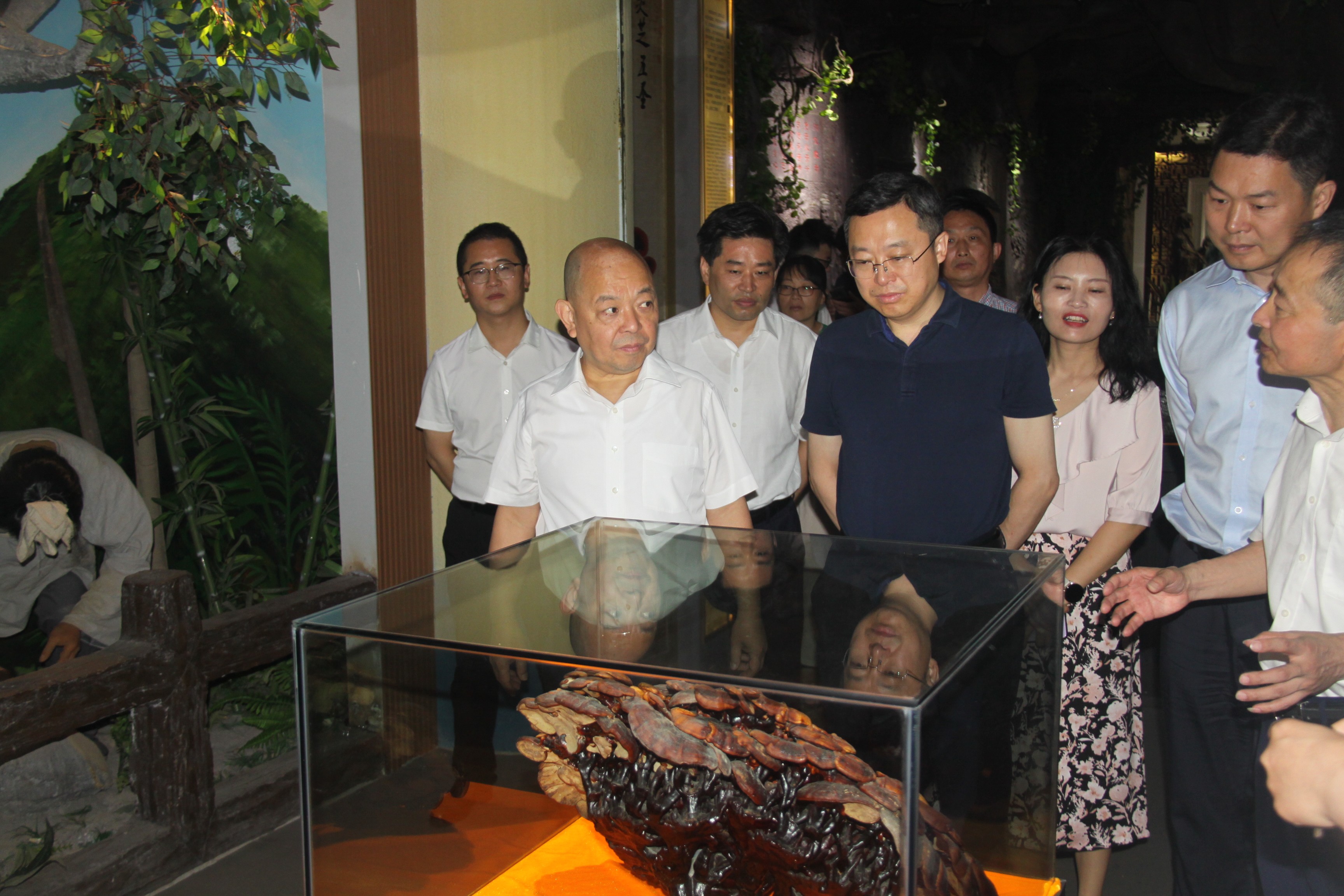 杭州亞運會官方靈芝產品供應商|杭州亞運會官方供應商|中國靈芝十大品牌|仙客來靈芝|仙客來靈芝破壁孢子粉|仙客來孢子油|仙客來靈芝飲片|仙客來破壁孢子粉|靈芝孢子油|孢子粉|靈芝破壁孢子粉|靈芝|中華老字號 杭州亞運會官方靈芝產品供應商|杭州亞運會官方供應商|中國靈芝十大品牌|仙客來靈芝|仙客來靈芝破壁孢子粉|仙客來孢子油|仙客來靈芝飲片|仙客來破壁孢子粉|靈芝孢子油|孢子粉|靈芝破壁孢子粉|靈芝|中華老字號