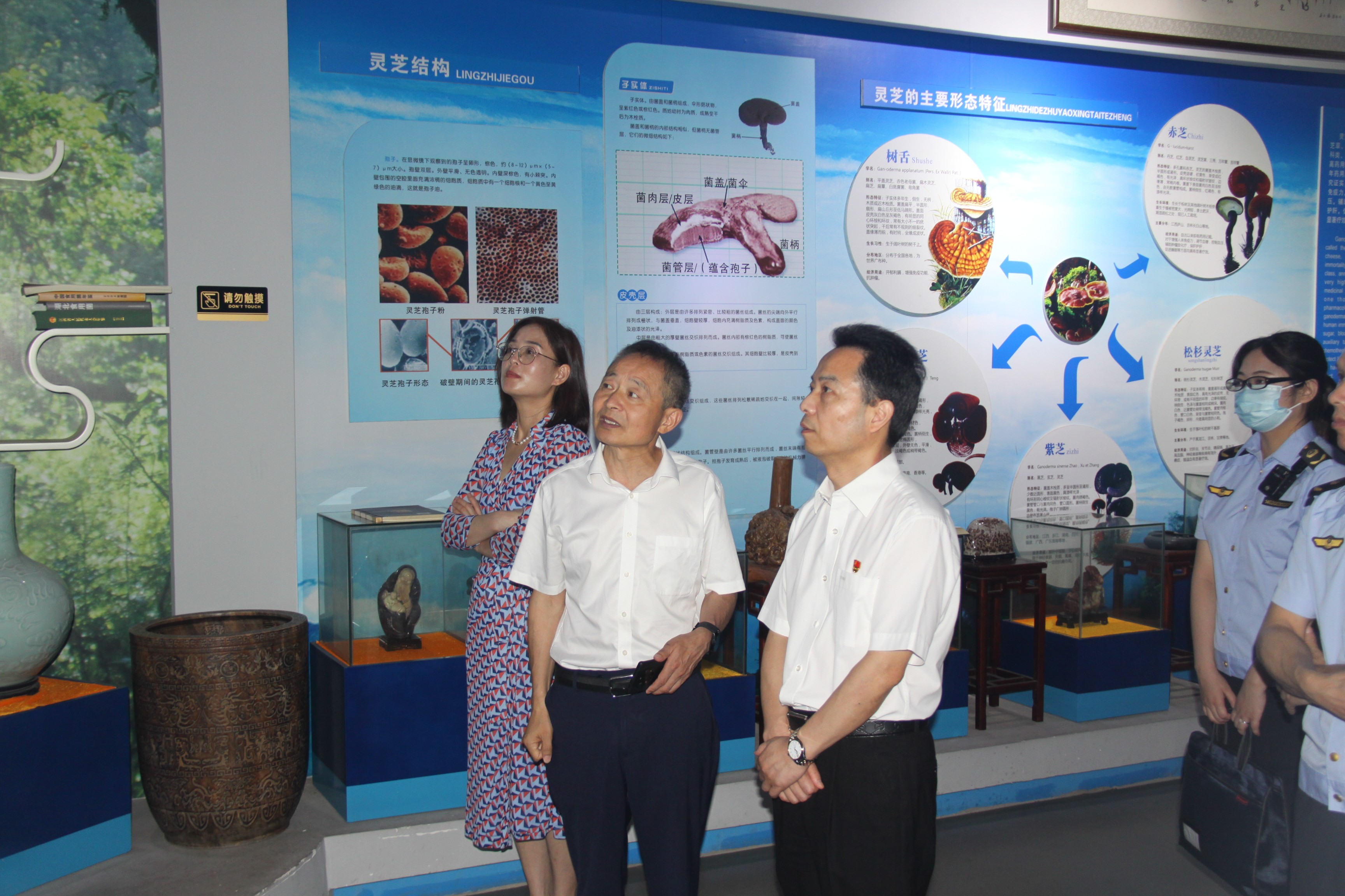 杭州亞運(yùn)會(huì)官方靈芝產(chǎn)品供應(yīng)商|杭州亞運(yùn)會(huì)官方供應(yīng)商|中國(guó)靈芝十大品牌|仙客來靈芝|仙客來靈芝破壁孢子粉|仙客來孢子油|仙客來靈芝飲片|仙客來破壁孢子粉|靈芝孢子油|孢子粉|靈芝破壁孢子粉|靈芝|中華老字號(hào)