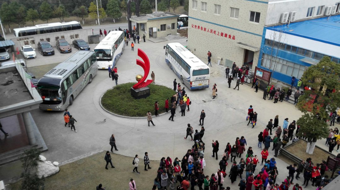 杭州亞運(yùn)會官方靈芝產(chǎn)品供應(yīng)商|杭州亞運(yùn)會官方供應(yīng)商|中國靈芝十大品牌|仙客來靈芝|仙客來靈芝破壁孢子粉|仙客來孢子油|仙客來靈芝飲片|仙客來破壁孢子粉|靈芝孢子油|孢子粉|靈芝破壁孢子粉|靈芝|中華老字號 杭州亞運(yùn)會官方靈芝產(chǎn)品供應(yīng)商|杭州亞運(yùn)會官方供應(yīng)商|中國靈芝十大品牌|仙客來靈芝|仙客來靈芝破壁孢子粉|仙客來孢子油|仙客來靈芝飲片|仙客來破壁孢子粉|靈芝孢子油|孢子粉|靈芝破壁孢子粉|靈芝|中華老字號