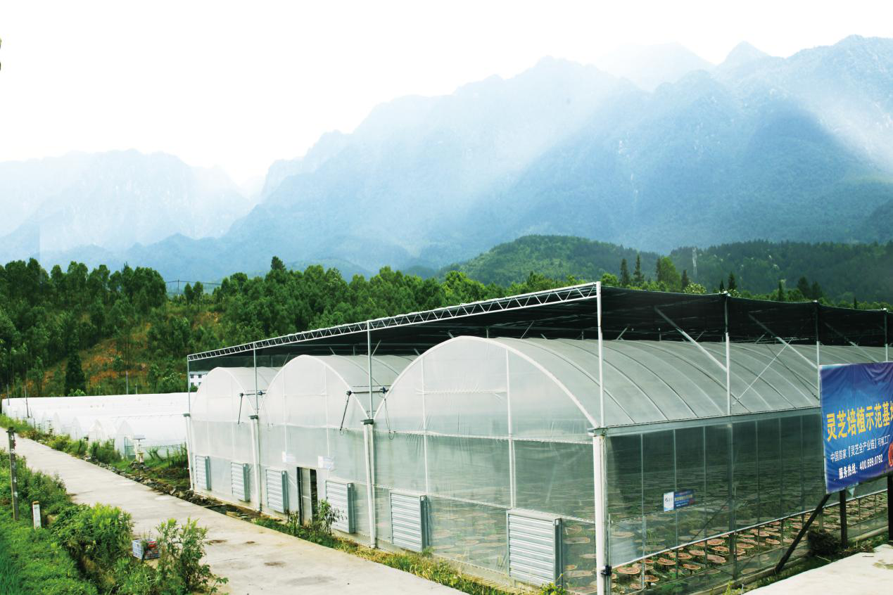 杭州亞運會官方靈芝產(chǎn)品供應(yīng)商|杭州亞運會官方供應(yīng)商|中國靈芝十大品牌|仙客來靈芝|仙客來靈芝破壁孢子粉|仙客來孢子油|仙客來靈芝飲片|仙客來破壁孢子粉|靈芝孢子油|孢子粉|靈芝破壁孢子粉|靈芝|中華老字號 杭州亞運會官方靈芝產(chǎn)品供應(yīng)商|杭州亞運會官方供應(yīng)商|中國靈芝十大品牌|仙客來靈芝|仙客來靈芝破壁孢子粉|仙客來孢子油|仙客來靈芝飲片|仙客來破壁孢子粉|靈芝孢子油|孢子粉|靈芝破壁孢子粉|靈芝|中華老字號